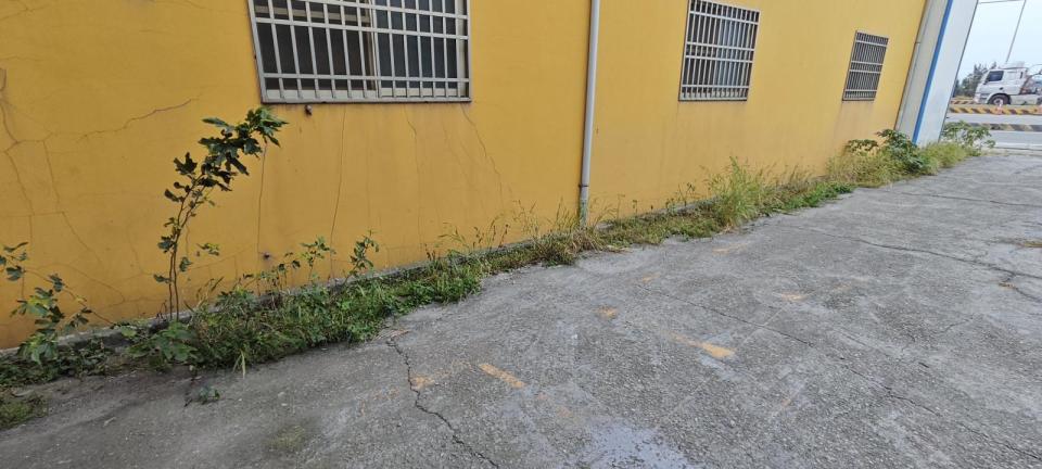 園藝維護案件圖片