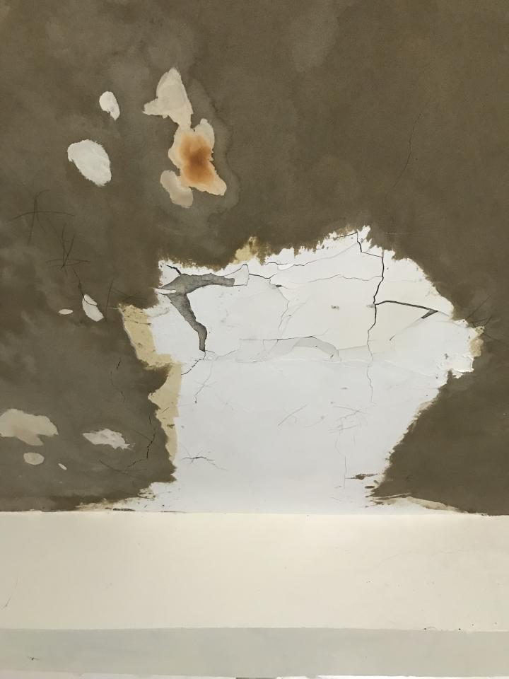 鋼筋外露處理案件圖片