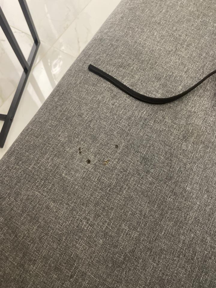 沙發修理案件圖片