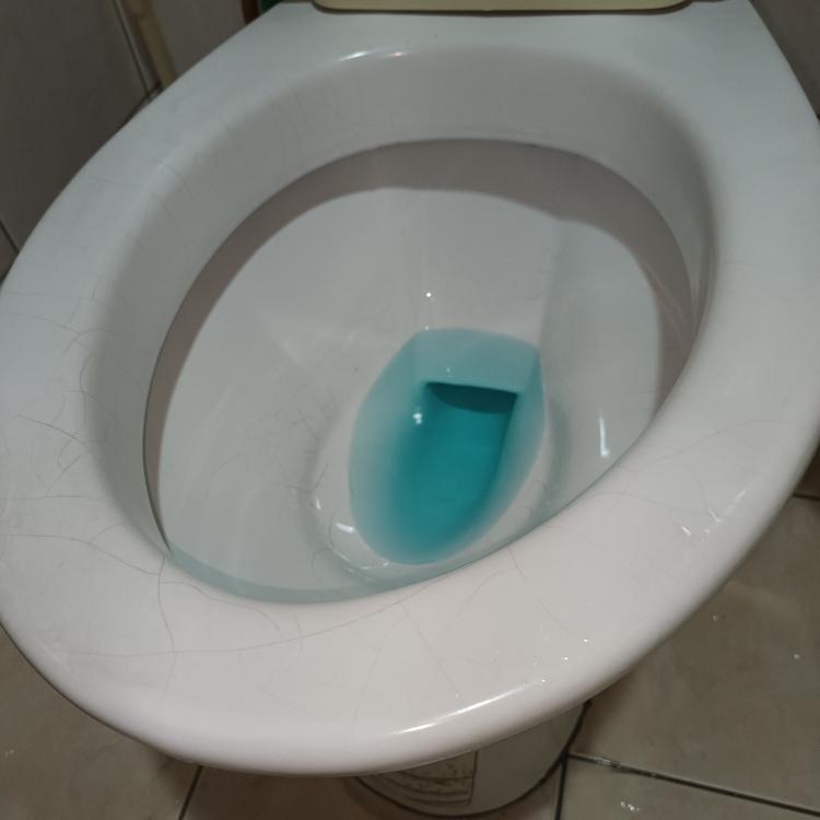 馬桶裝修案件圖片