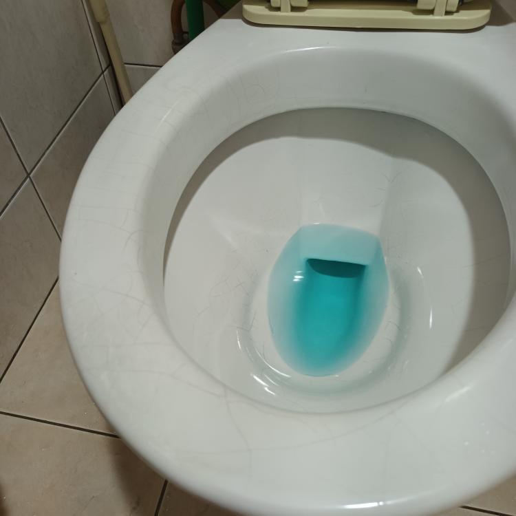 馬桶裝修案件圖片