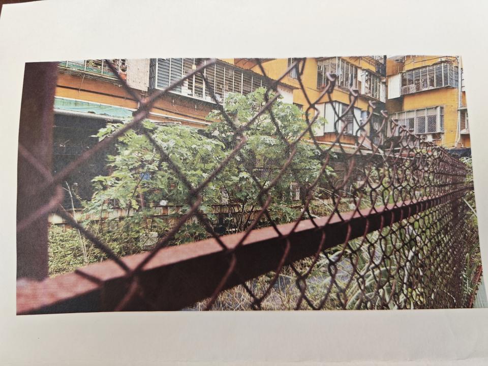 園藝維護案件圖片