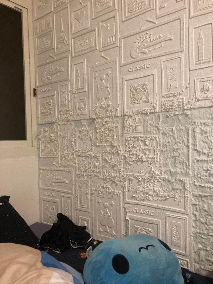 壁紙清除案件圖片