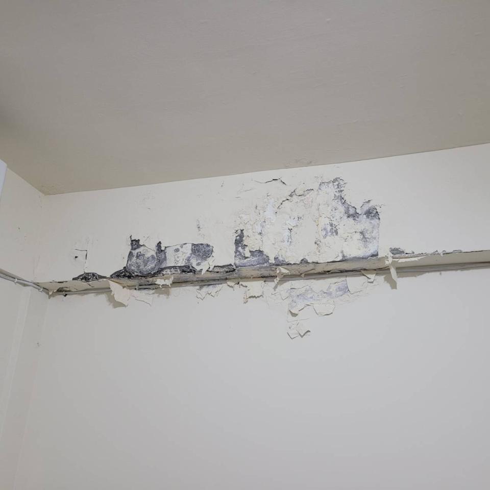 壁癌處理案件圖片