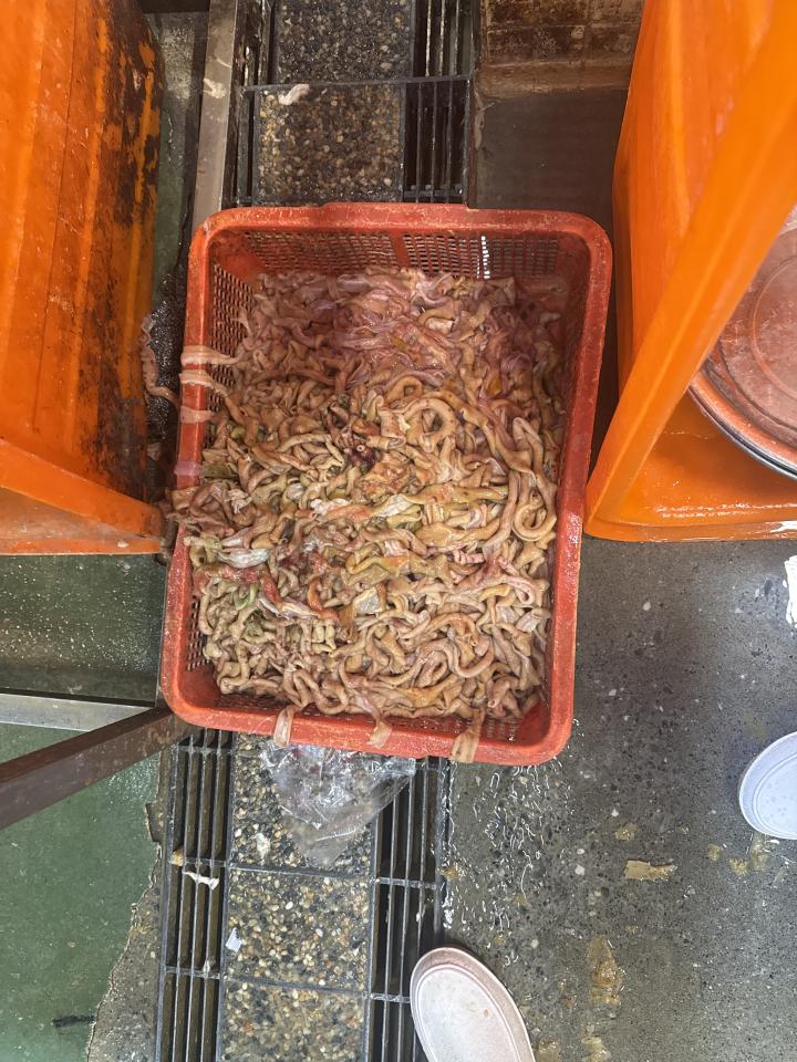 廚餘回收案件圖片