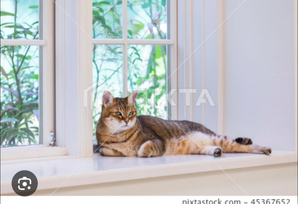 軟裝設計案件圖片