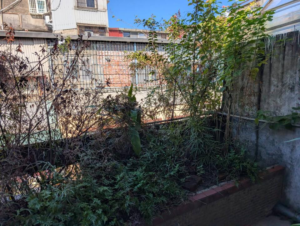 園藝維護案件圖片