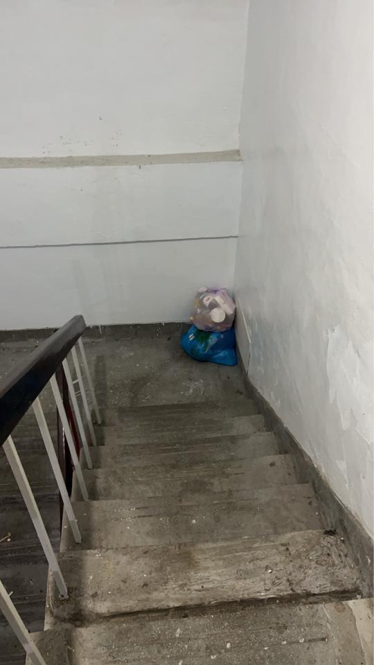 代收垃圾案件圖片