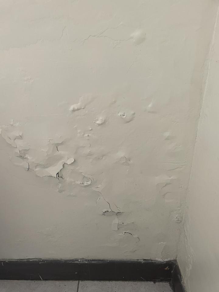 油漆工程案件圖片