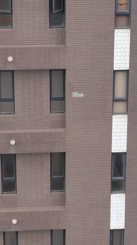 磁磚修補案件圖片