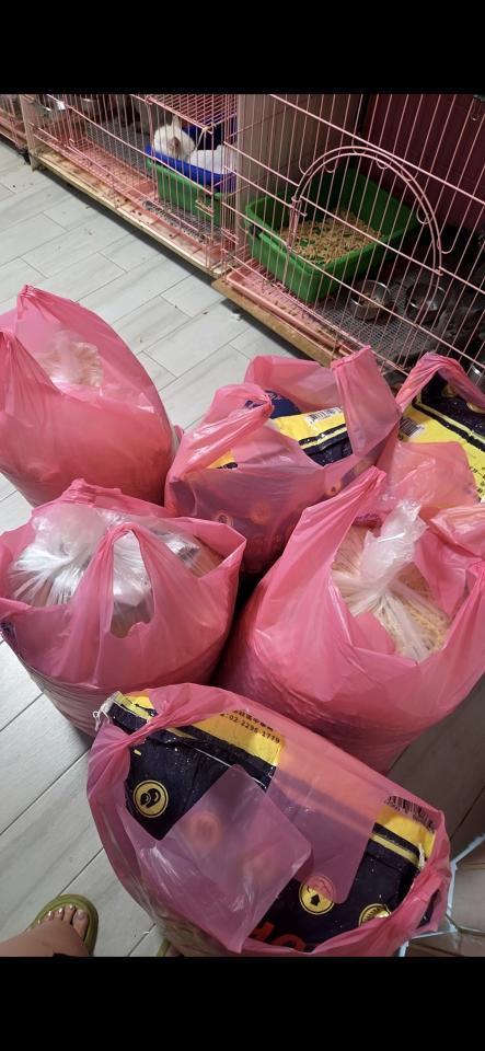 代收垃圾案件圖片