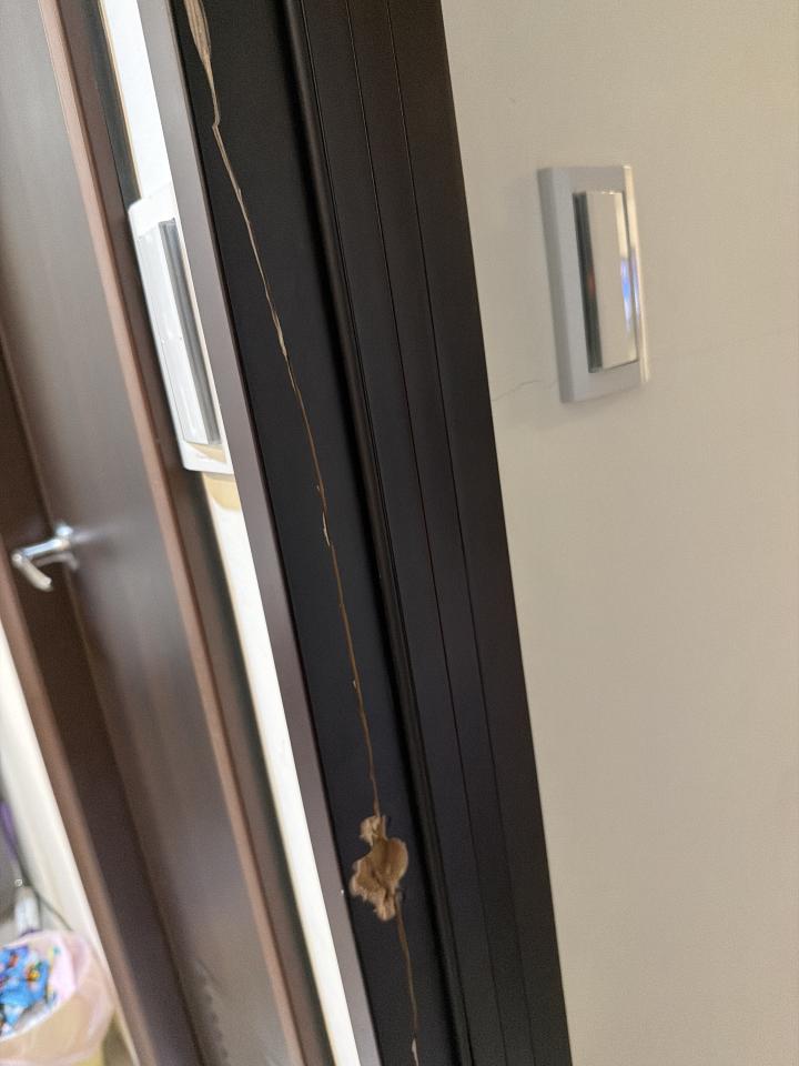 門片維修案件圖片