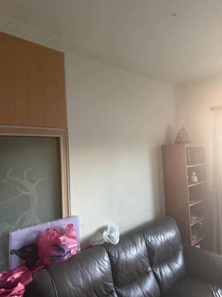 油漆工程案件圖片