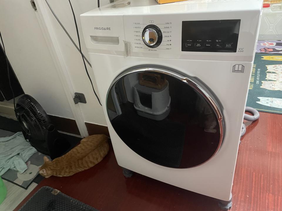 洗衣機清洗案件圖片