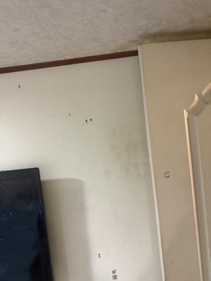 油漆工程案件圖片