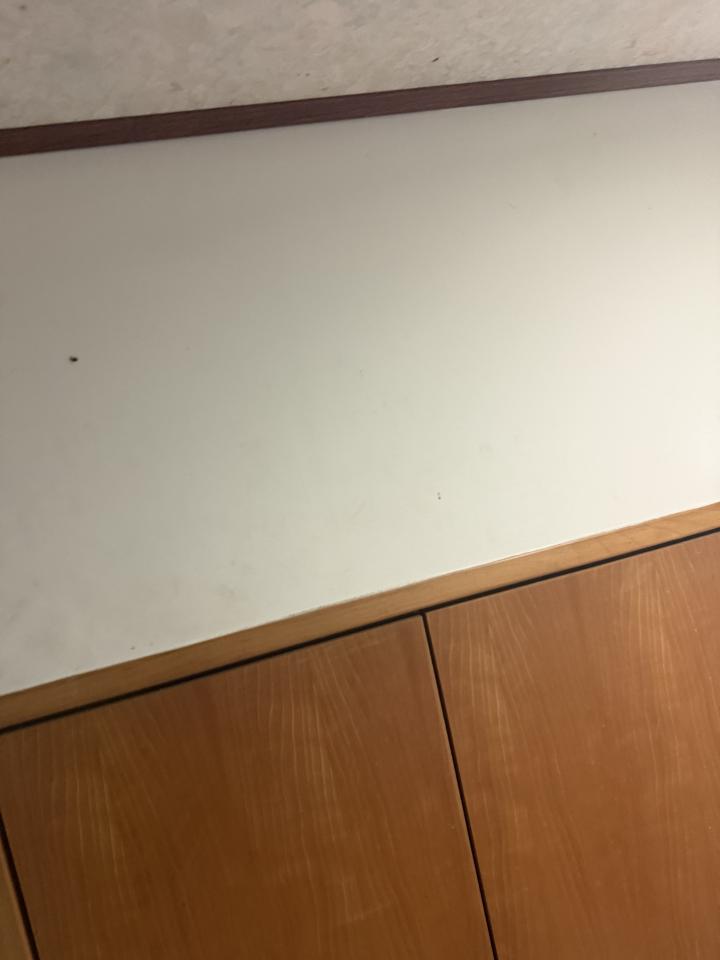 油漆工程案件圖片