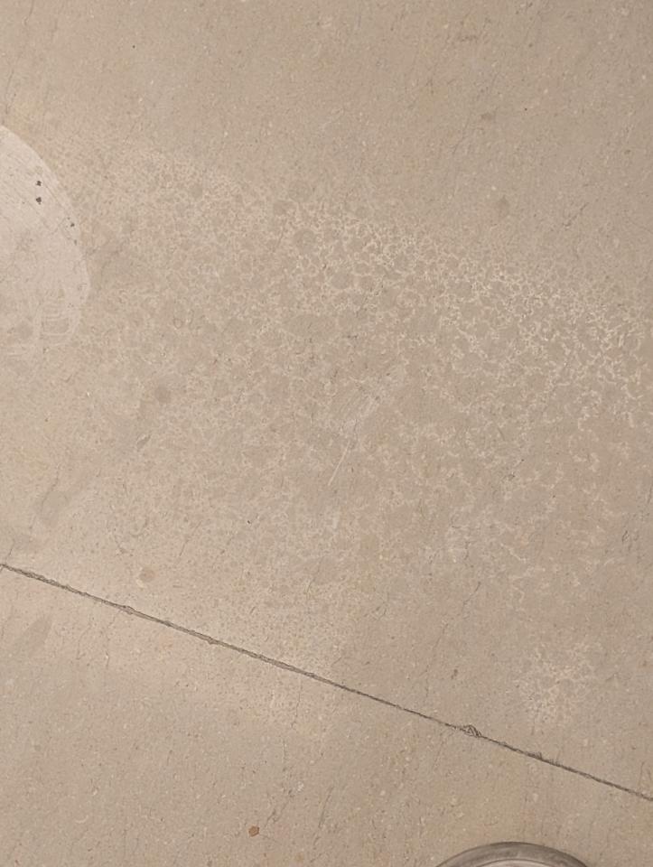 地板拋光打蠟案件圖片