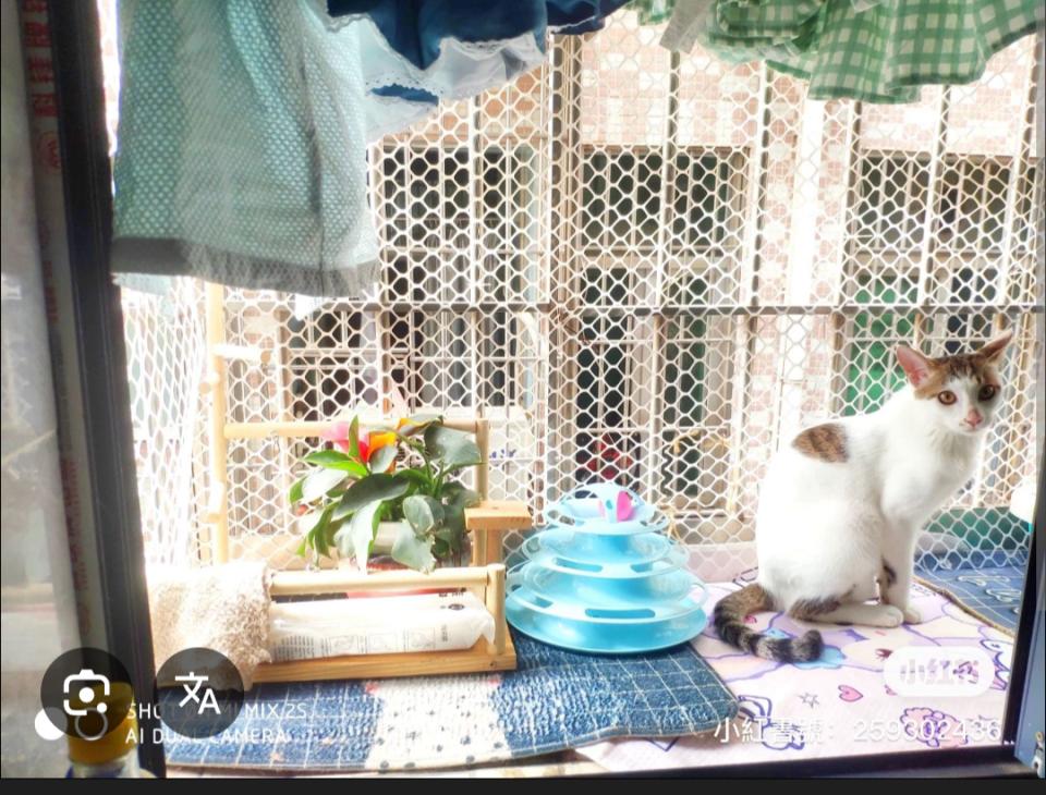 軟裝設計案件圖片