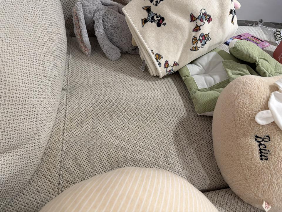 沙發清潔案件圖片