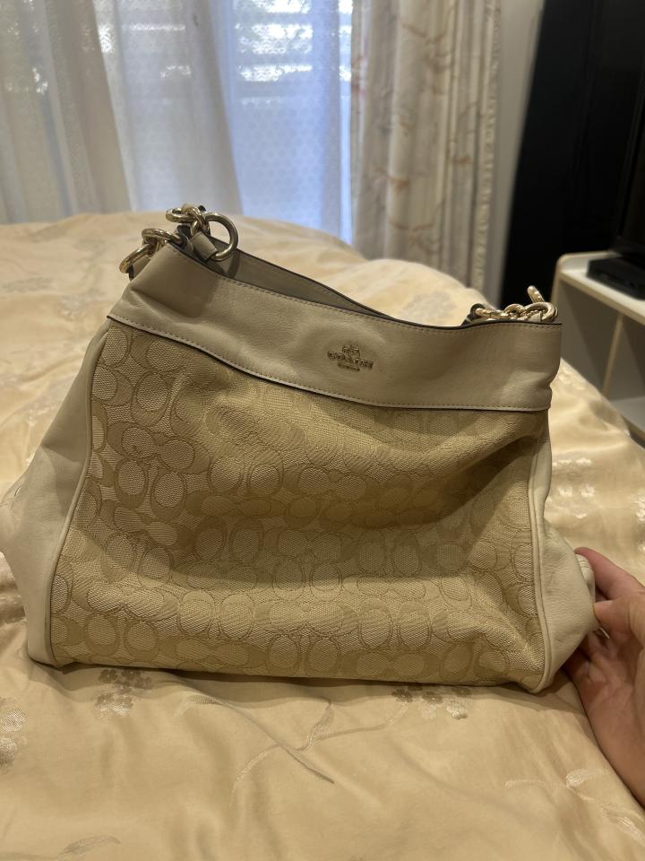 洗包包案件圖片