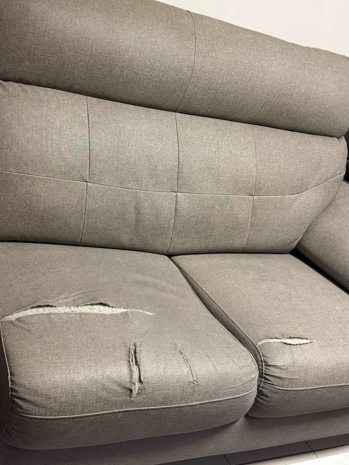 沙發修理案件圖片