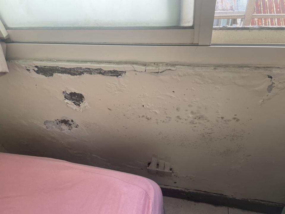 油漆工程案件圖片