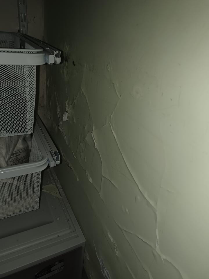 壁癌處理案件圖片