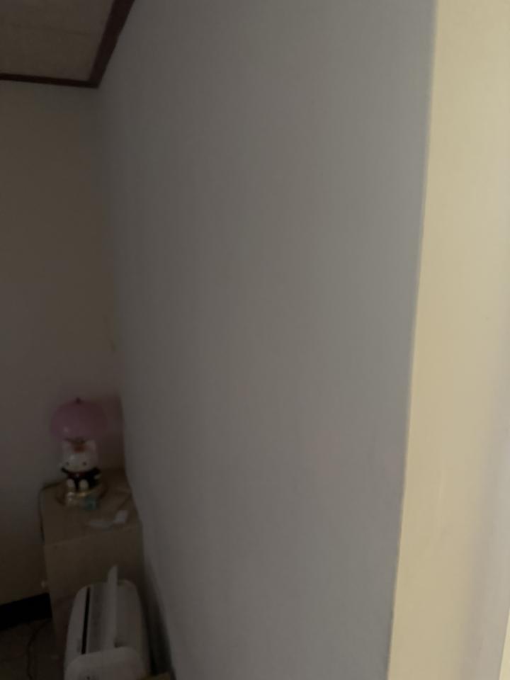 油漆工程案件圖片