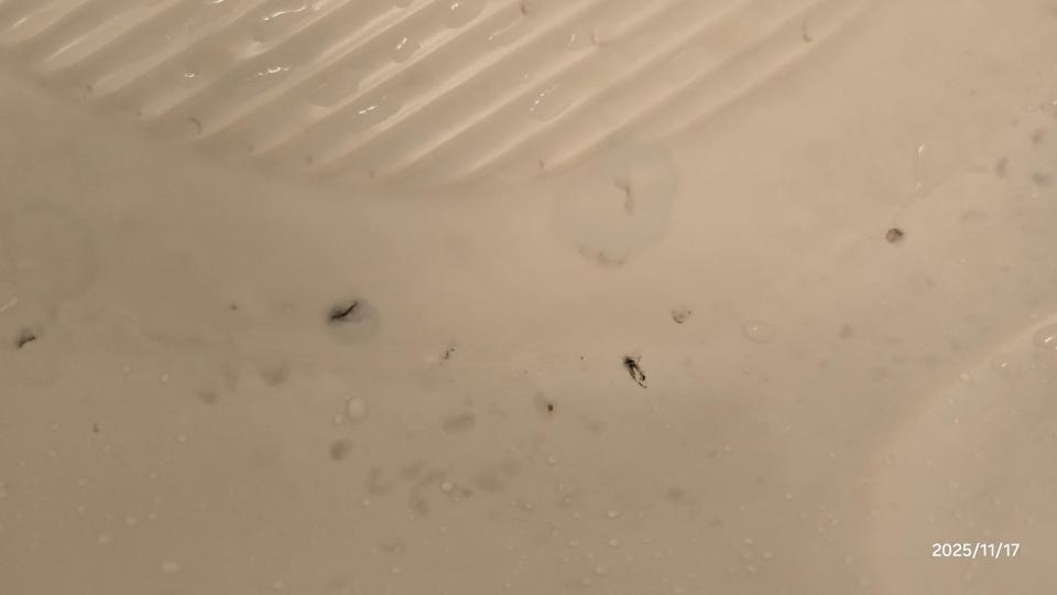 浴室除霉清潔案件圖片