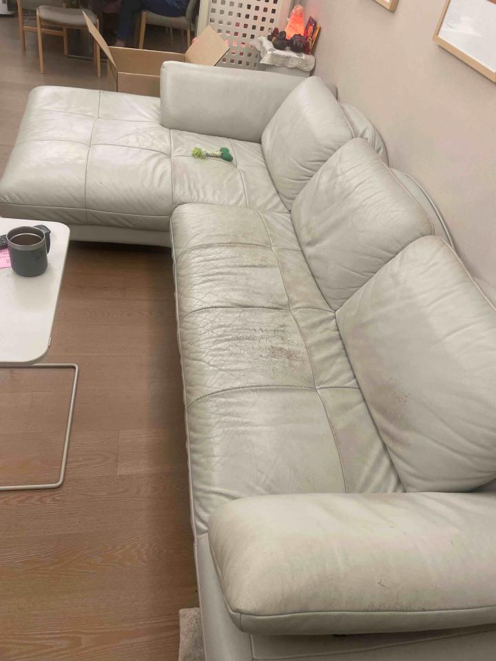 沙發修理案件圖片