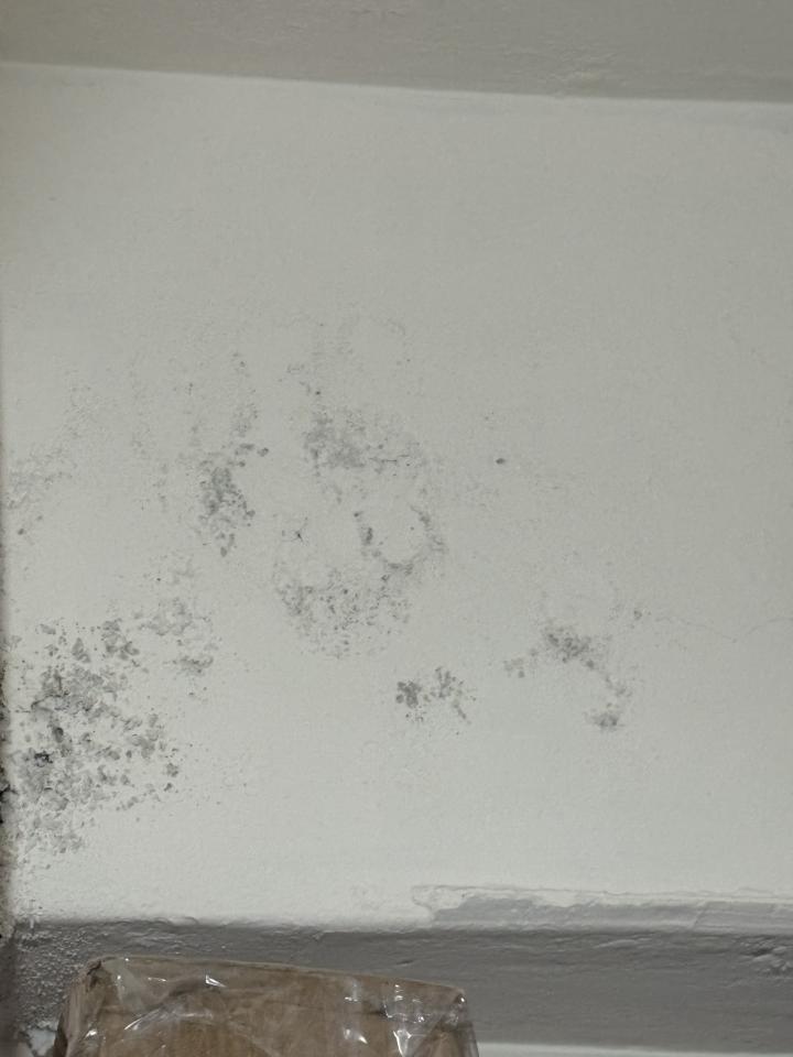 油漆工程案件圖片