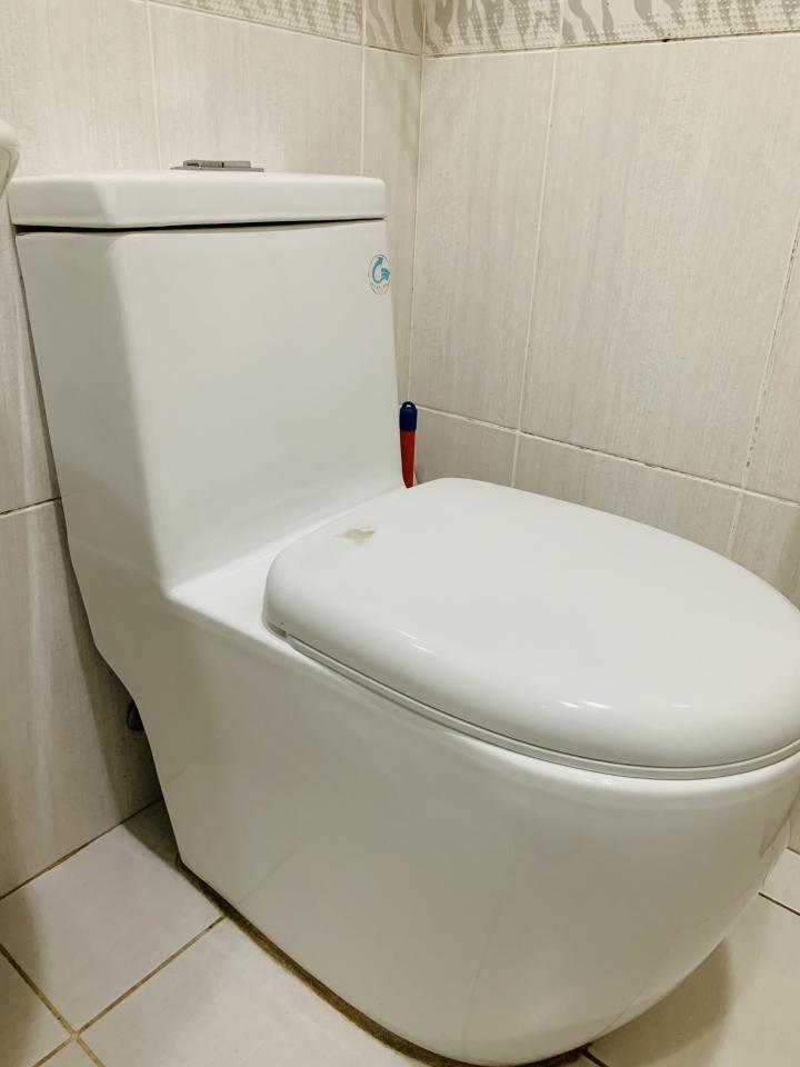 馬桶裝修案件圖片