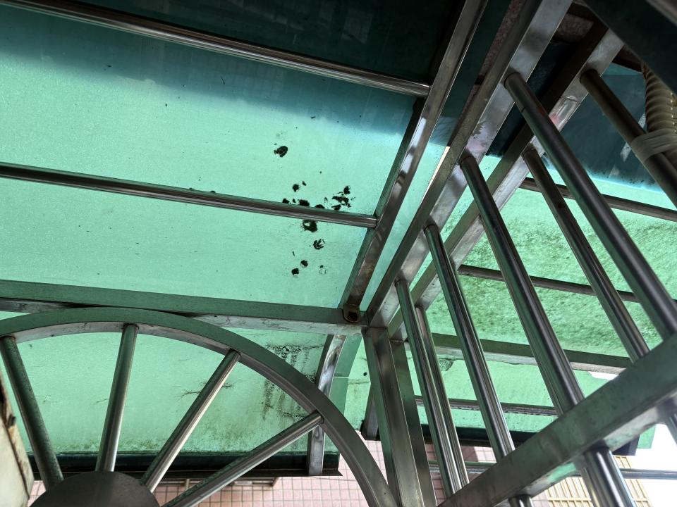 採光罩案件圖片