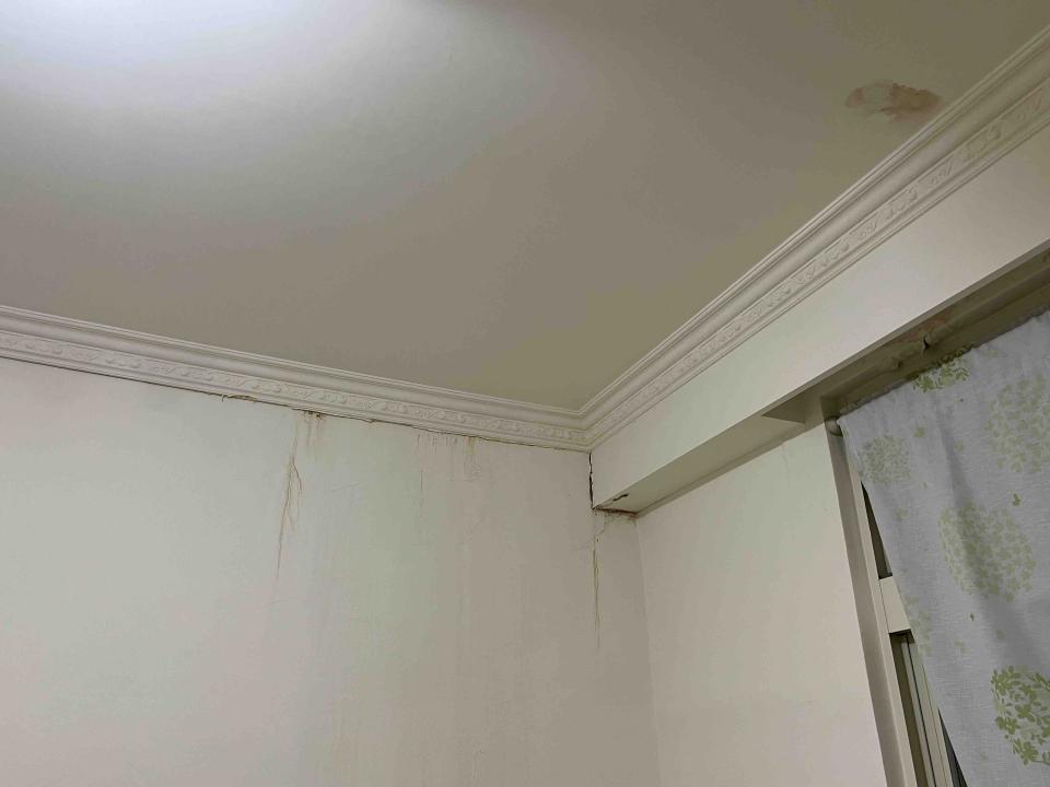 油漆工程案件圖片