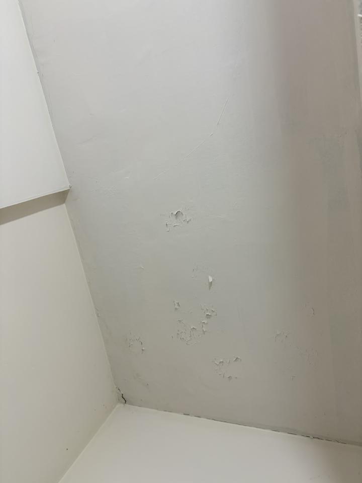 油漆工程案件圖片