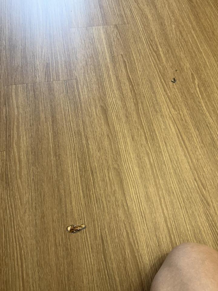 地板維修案件圖片