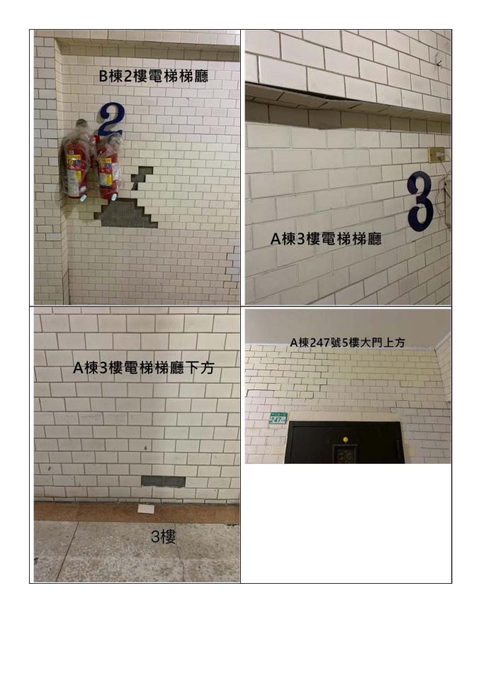 磁磚修補案件圖片