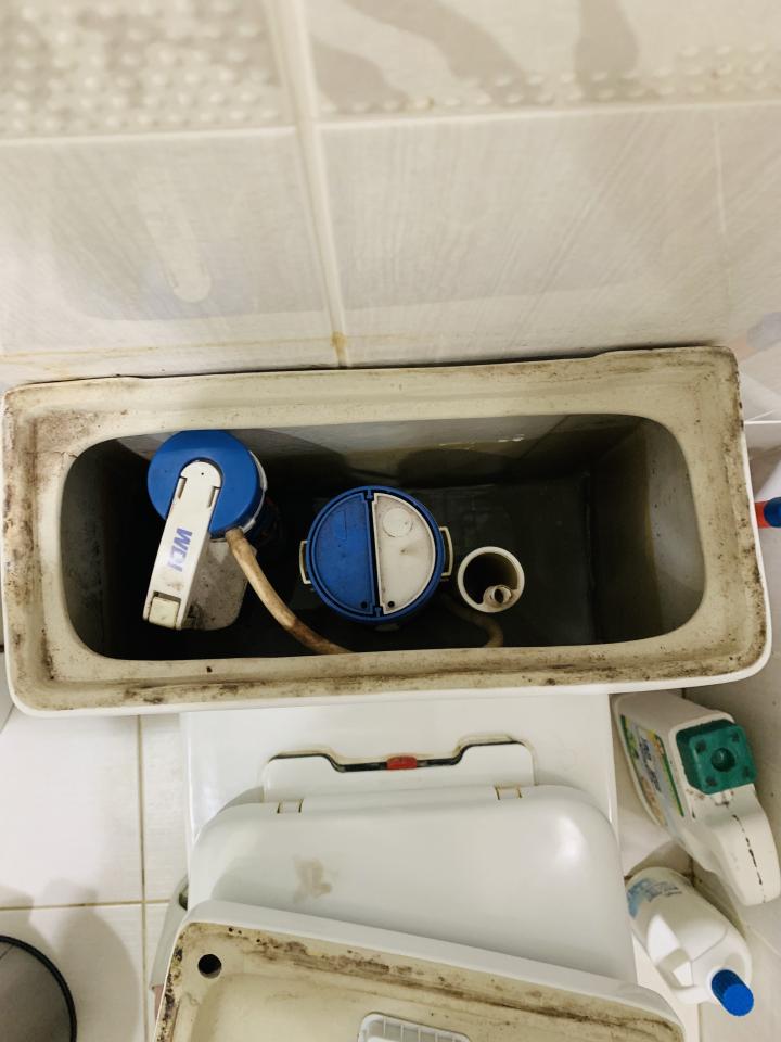 馬桶裝修案件圖片