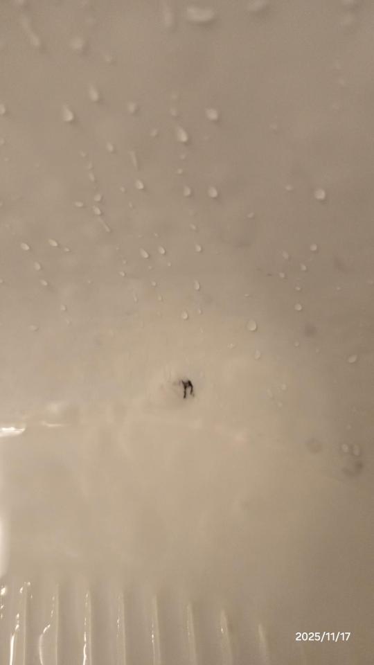 浴室除霉清潔案件圖片