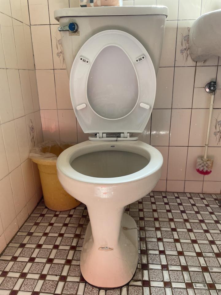 馬桶裝修案件圖片