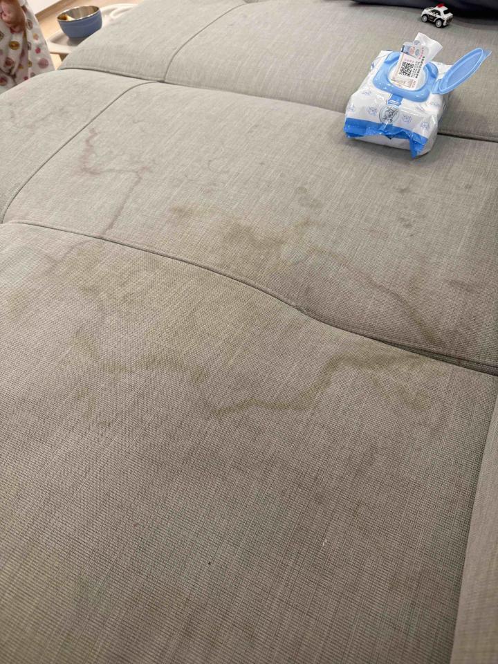 沙發清潔案件圖片