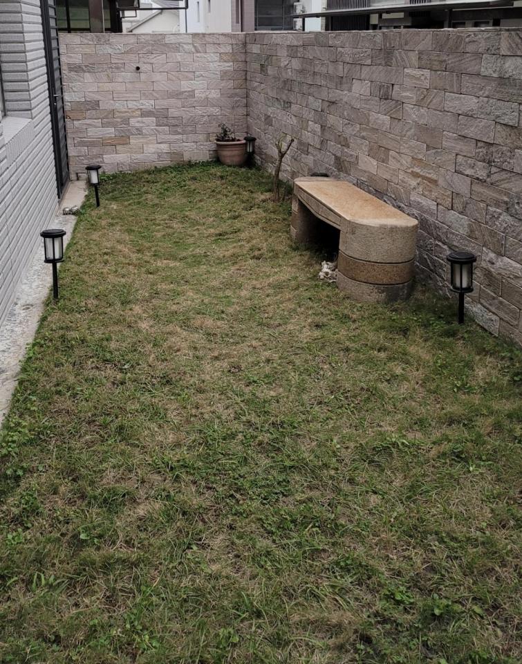 園藝設計案件圖片