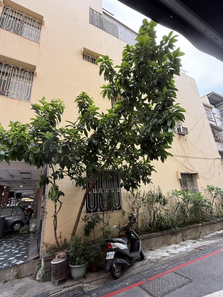 園藝維護案件圖片