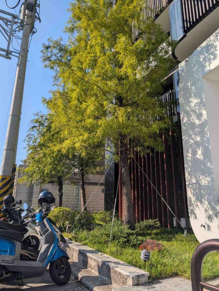 園藝維護案件圖片