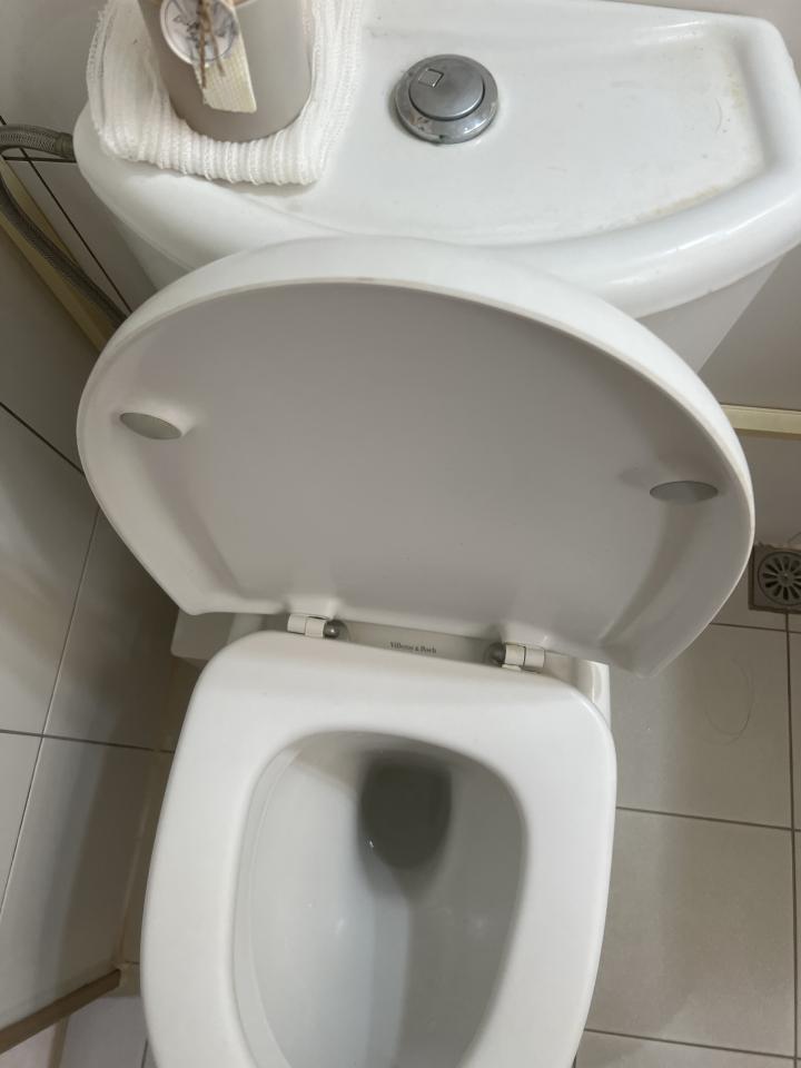 馬桶裝修案件圖片