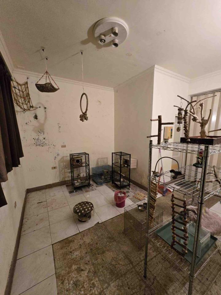 統包工程案件圖片