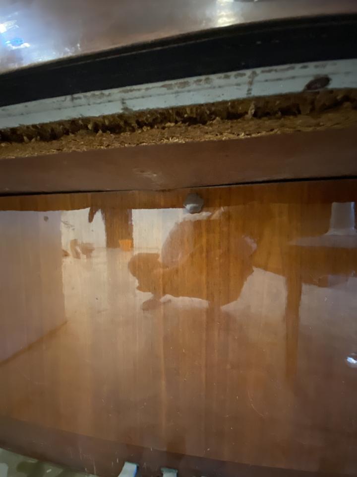 樂器行案件圖片