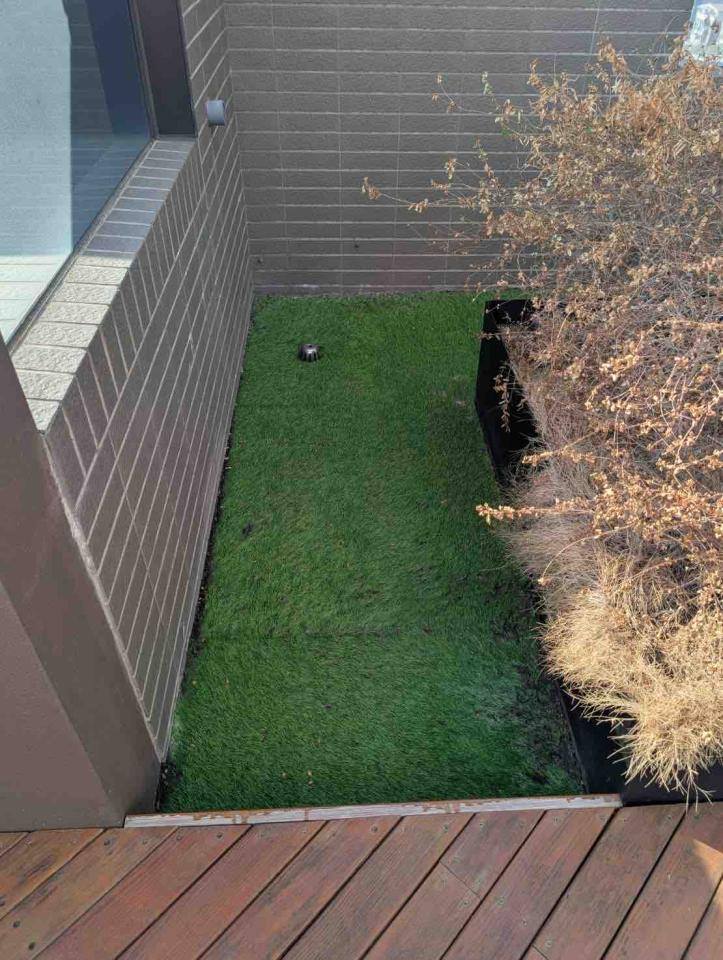 園藝維護案件圖片