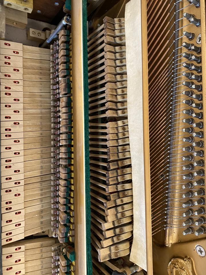 樂器行案件圖片