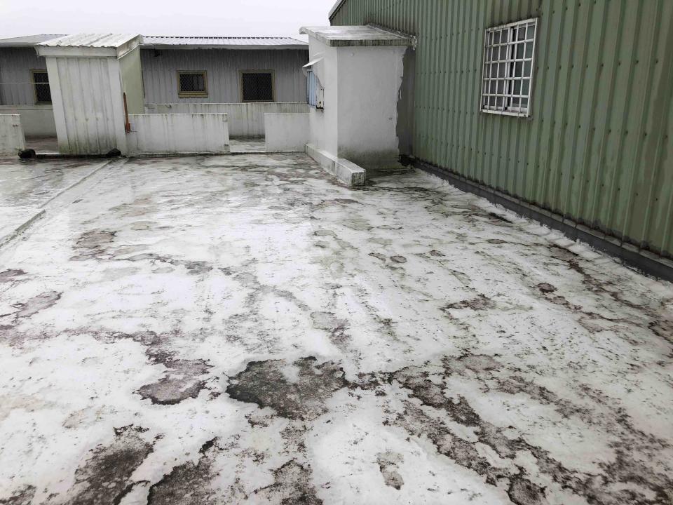 屋頂防水案件圖片